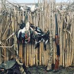Greg Jorgensen - @greg_jorgy - Instagram