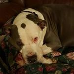 Greg Kaminski - @kaminski_._greg_ - Instagram