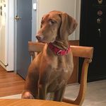 Greg Kayser - @gkayser71 - Instagram