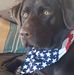 Greg Kilgore - Facebook