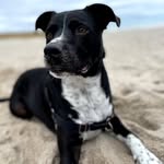 Greg Kilgore - @killergore - Instagram