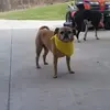 Greg Killen - @greg.killen - TikTok