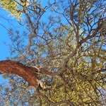 Greg Kirsch - @kirsch7307 - Instagram
