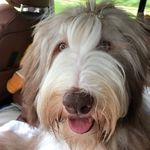 Greg Kirschenbaum - @kirschenbaumgreg - Instagram