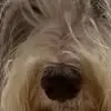 gregkirschenbaum - @gregkirschenbaum - TikTok