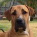 Greg Kohler - Facebook