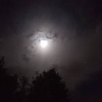 Greg Kruse - @there_is_no_roof - Instagram