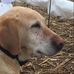 Greg Kruse - Facebook