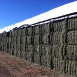 Greg Lambert - @hillcrestalfalfa - Instagram
