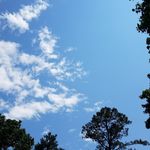Greg Lambert - @greglam5 - Instagram