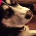 Landon Gregg - Facebook