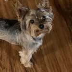 Greg Langston - @greglangston - Instagram