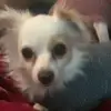 user618031245476 - @greglangston5 - TikTok