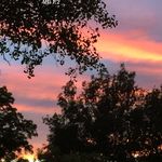 Greg Lantz - @drgregorylantz - Instagram