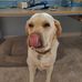 Greg Lantz - Facebook