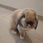 greg - @greg_lapinou - Instagram