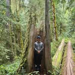 Gregory Laplante - @laplanters - Instagram