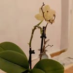 je vais vous etonné - @greg_la_plante - Instagram