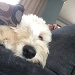 Greg Larkins - @greg.larkins.587 - Instagram