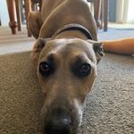 Greg Larkins - @greg.larkins74 - Instagram