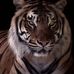 Greg Latimer - Facebook