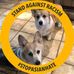 Greg Lauer - Facebook