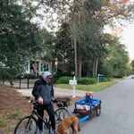 Greg Lawless - @gelawless - Instagram
