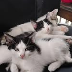 Greg Lawless - @greg31709 - Instagram