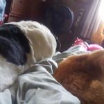 Greg Lawless - @greg.lawless.10 - Instagram