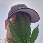 Gregg Staves - @greggatlawless - Instagram