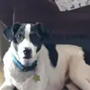 greglawless1 - @greglawless1 - TikTok