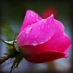 Greg adam Leininger - @gregadamleininger - Instagram