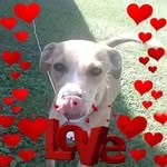 Greg Leininger - @gregleininger709 - Instagram