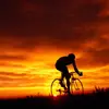 Gregory_James_LeMond_Jr - @gregory_james_lemond_jr - TikTok