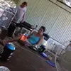 greglemons106 - @greglemons106 - TikTok