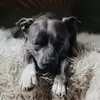 Greglee - @greglev4 - TikTok