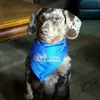 Greg Light - @greg.light4 - TikTok