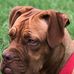 Greg Lingle - Facebook