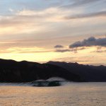 Greg Lovett - @gclovett - Instagram