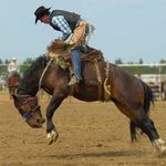 Greg Loving - @cowboygregl - Instagram