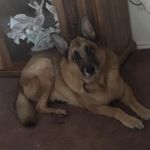 Gregory Hall - @greg_loving_grandpa - Instagram