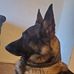 Luke Greg - Facebook