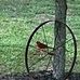 Greg Lynn - Facebook