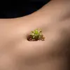 GregMacArthurju1985 - @gregmacarthurju1985 - TikTok