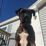 Greg Macdonald - @gregmackdonald - Instagram