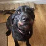 Greg mackinnon - @mackinnon_greg - Instagram