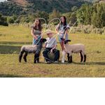 Greg Madsen - @madsen_livestock - Instagram