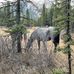 Greg Madsen - Facebook