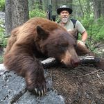 Steven Greg Madsen - @stevenmadsen52 - Instagram