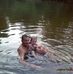Greg Mahan - Facebook